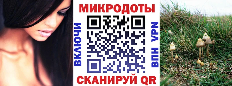 Галлюциногенные грибы Psilocybine cubensis  OMG маркетплейс  Новоуральск 